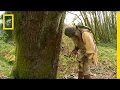 Sap Collection Process and Techniques