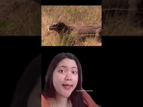 CARA SELAMAT DARI KOMODO 😱⚠️😱⚠️😱⚠️