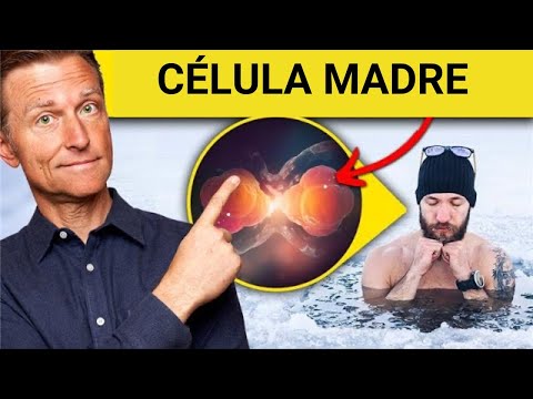 Regenera tus células madre