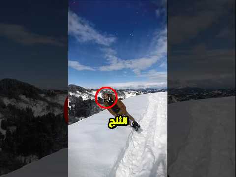 لا تفعل هذا أبدًا أبدًا! 😨
