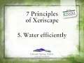 Xeriscaping Principles and Practices