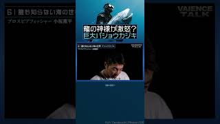 龍の神様が激怒？巨大バショウカジキ