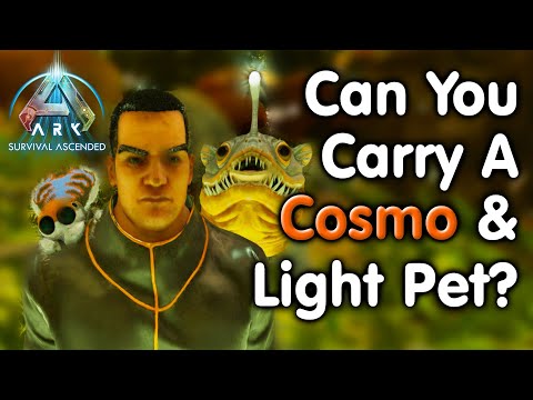 ARK Can You Carry A COSMO And LIGHT PET?