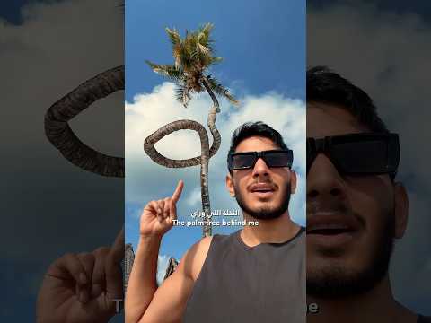 كم تتوقع سعر النخلة؟ 🤯🌴