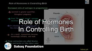 Role of Hormones In Controlling Birth