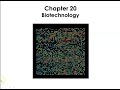 Biotechnology Concepts and Applications