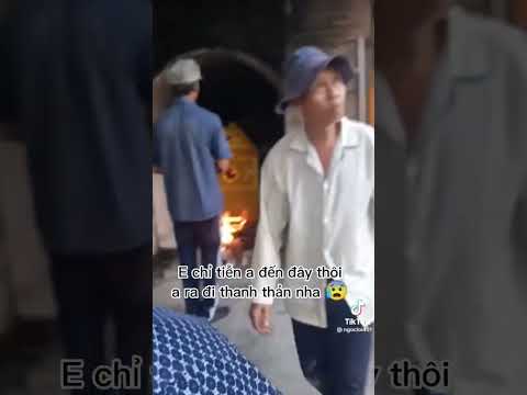 các bụi trở về các bụi #siêuquậyfunny #hoàngtâmdoors