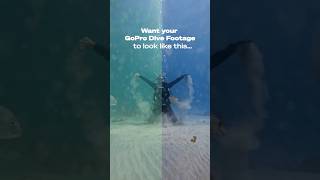 How To  Edit your GoPro Underwater footage (Easy Colour Correction for Divers) #gopro #dive #howto