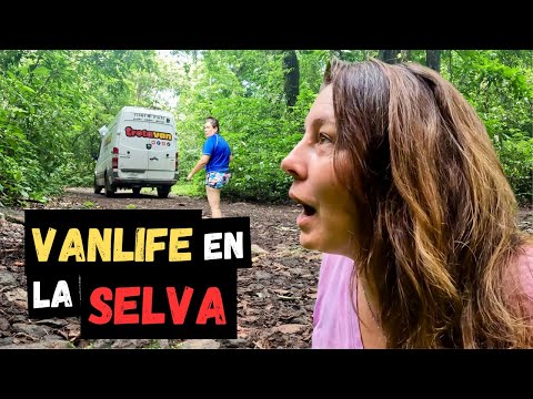 🥴SOBREVIVIMOS 24hs de VANLIFE en la Selva de México 🇲🇽