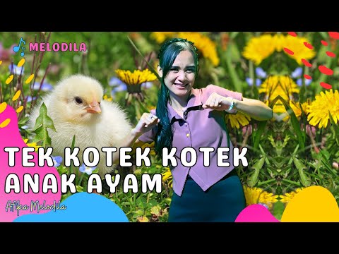 🔴 LAGU TEK KOTEK KOTEK ANAK AYAM - Lagu Anak Anak | Lagu Anak Indonesia Afika Salma