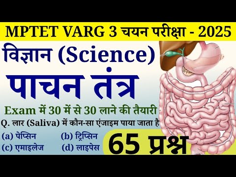 MPTET Varg 3 - 2025 | विज्ञान (SCIENCE) | पाचन तंत्र (Digestive System) के 65 प्रश्न