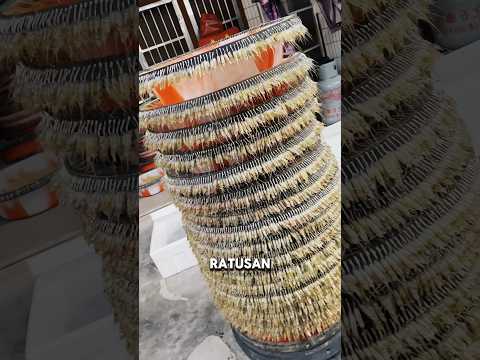 Bukan Sekadar Mancing — Ini Level Negara Maju #shortvideo #faktaunik