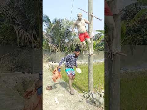 রুটি নিলো কে 🍞