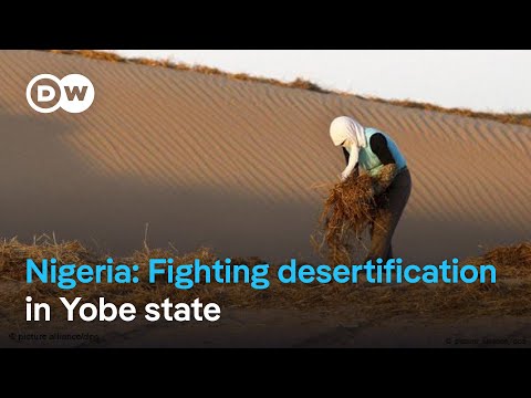 YouTube video thumbnail: Farmland Is Shrinking as the Desert Encroaches in Nigeria's Northeaster Sugest a Teaser
