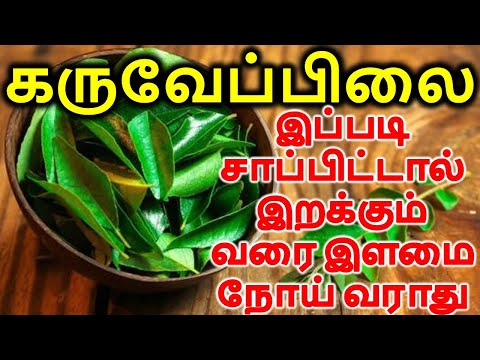 கருவேப்பிலை இப்படி சாப்பிட்டா சாகும் வரை நோய் வராது | Curry leaf Benefits | plants