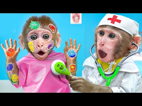 Kiki Monkey best videos complaint one hours | Kiki Monkey