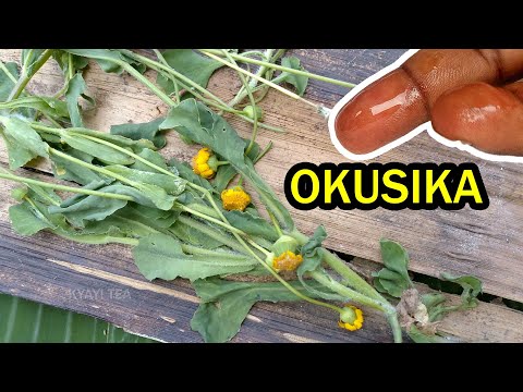 Eddagala Elisika Enfuli Lirino Mukasa Ddagala Elisika Mubwangu
