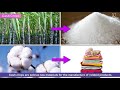 Agricultural Practices and Crop Knowledge