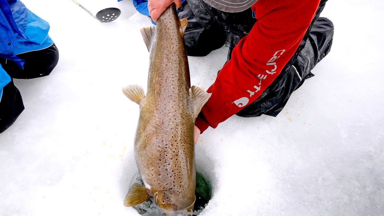 Fishing for Monsters Under the Ice