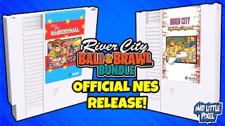 FINALLY! These Games Are Officially Coming To NES! Nekketsu Fighting Legend & All-Out Dunk Heroes!