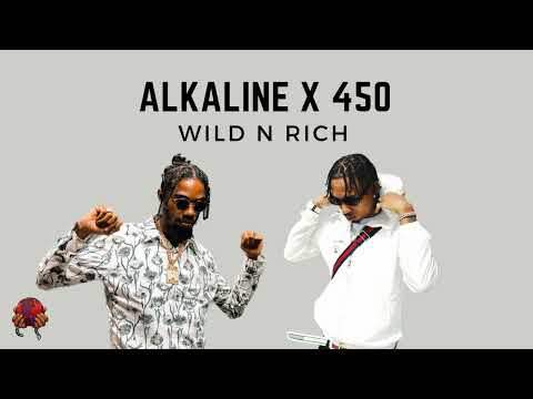 450 x Alkaline - Wild n Rich (WBT SOUND Mashup)