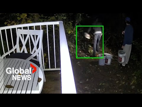 YouTube video thumbnail: Security Video Shows Possible Pollution in Fish-Bearing BC Creek