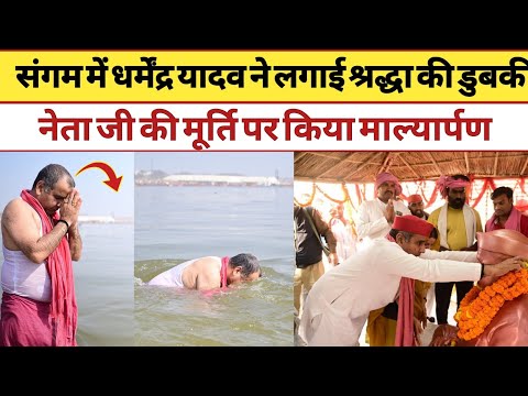 धर्मेंद्र यादव का काफिला महाकुंभ पहुंचा #akhileshyadav #dharmendrayadav #viralvideo #mahakumbh #2027