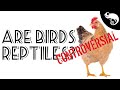 Reptile Characteristics and Misconceptions