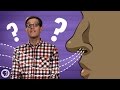 Human Olfactory Perception Insights