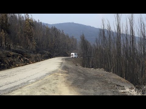 YouTube video thumbnail: Portugal’s Burned Land Triples Compared to Last Year Amid Intensifying Wildfires