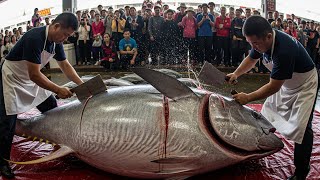 475KG Tuna Meets the Sharpest Knife Ever! #TunaCutting #BluefinTuna #Seafood