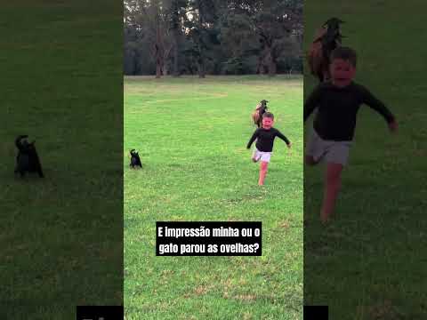 Sera que só eu que vi isso?