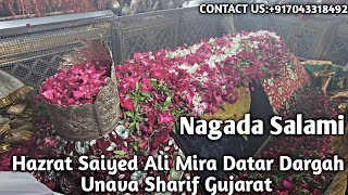 Salami At Saiyed Ali Mira Datar Dargah Sharif Gujarat