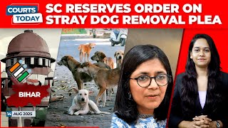 Delhi Stray Dogs | Bihar SIR |  J&K Statehood Restoration | Swati Maliwal | Renukaswamy Murder Case