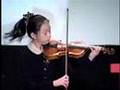 Understanding the Violin: Technology, Design, and Entertainment