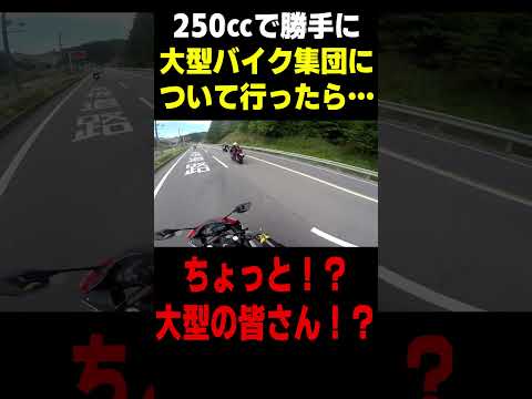 250ccで大型バイクの集団について行った結果… #バイク動画 #ランページモンキー
