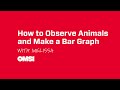 Animal Activity Observation Study