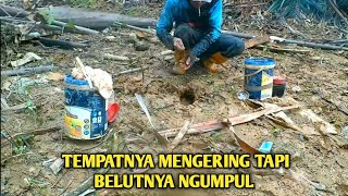 SIAPA SANGKA SPOT MENGERING DI PENUHI SAMPAH BANYAK BERSARANG BELUT BELUT BESAR