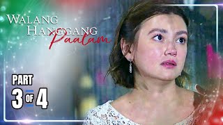 Walang Hanggang Paalam | Episode 119 (3/4) | December 23, 2024