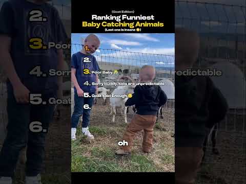 Ranking Baby & Goat Moments