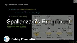 Spallanzani's Experiment