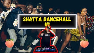 Shatta 2024 Mix 🍑 | #1 | Shattating Afro Dancehal