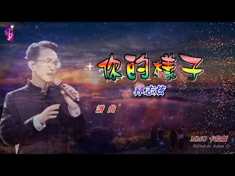 你的樣子〈華語〉林誌炫〈MMO 卡拉版〉