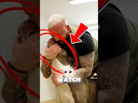 This man Ended The dog….
