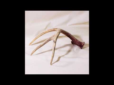 The Long Hunt - Natural Order (Full Album 2025)