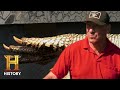 Challenges and Opinions in the Boneyard