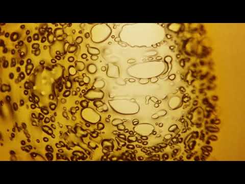 Zanzi Music Composer