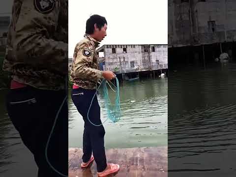 Quăng chài bắt cá #nuirungtv #batca #fishing