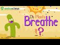 Exploring Plant Respiration Processes