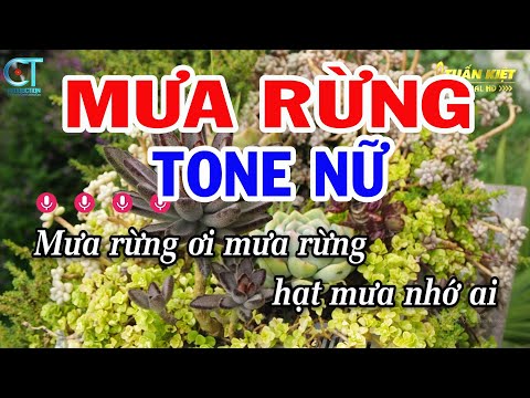 Karaoke Mưa Rừng Tone Nữ ( Bm ) Nhạc Sống Mới || Karaoke Tuấn Kiệt